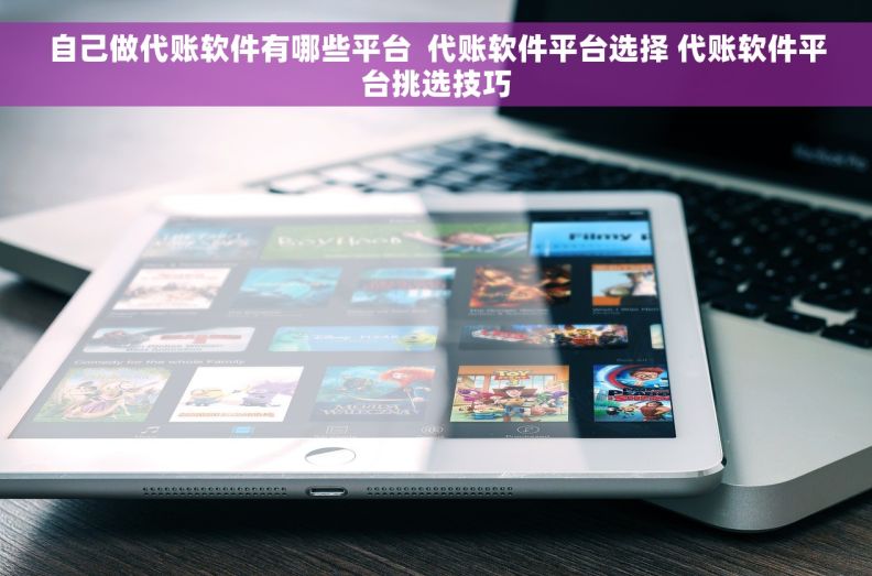 自己做代账软件有哪些平台  代账软件平台选择 代账软件平台挑选技巧