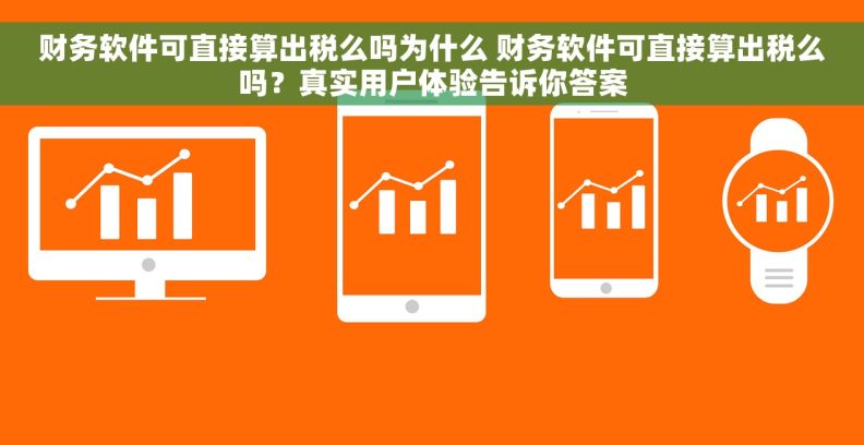 财务软件可直接算出税么吗为什么 财务软件可直接算出税么吗？真实用户体验告诉你答案