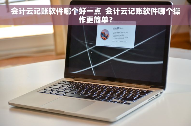 会计云记账软件哪个好一点  会计云记账软件哪个操作更简单？