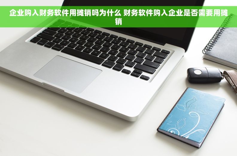 企业购入财务软件用摊销吗为什么 财务软件购入企业是否需要用摊销