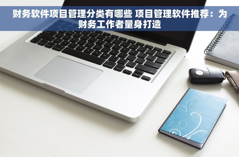 财务软件项目管理分类有哪些 项目管理软件推荐：为财务工作者量身打造