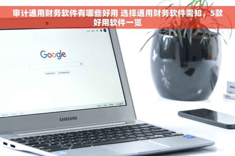 审计通用财务软件有哪些好用 选择通用财务软件需知，5款好用软件一览