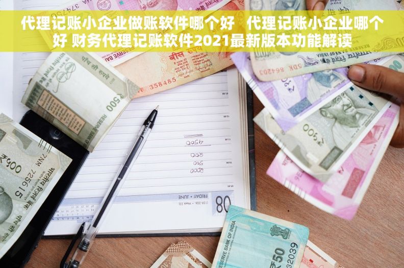代理记账小企业做账软件哪个好   代理记账小企业哪个好 财务代理记账软件2021最新版本功能解读
