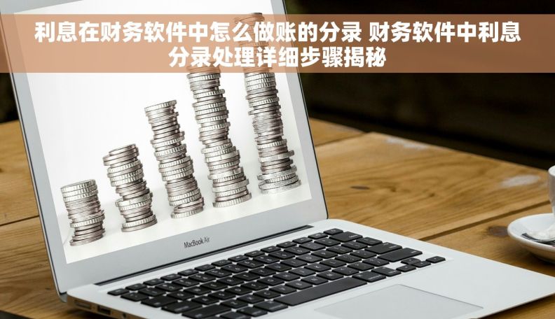 利息在财务软件中怎么做账的分录 财务软件中利息分录处理详细步骤揭秘