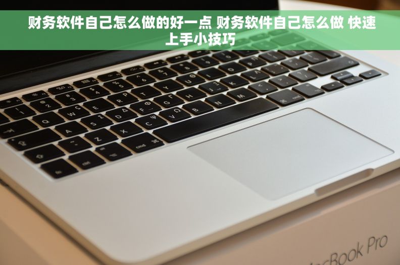  财务软件自己怎么做的好一点 财务软件自己怎么做 快速上手小技巧