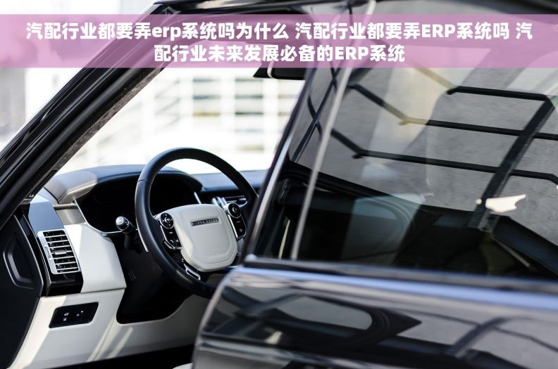 汽配行业都要弄erp系统吗为什么 汽配行业都要弄ERP系统吗 汽配行业未来发展必备的ERP系统