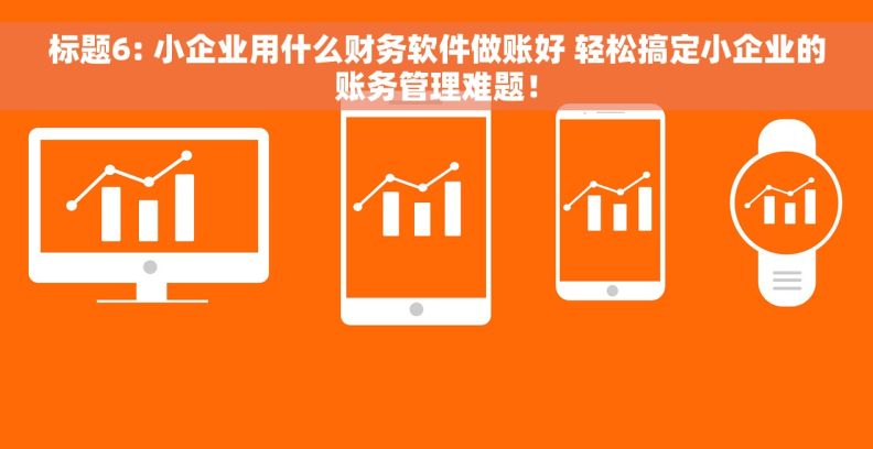 	标题6: 小企业用什么财务软件做账好 轻松搞定小企业的账务管理难题！