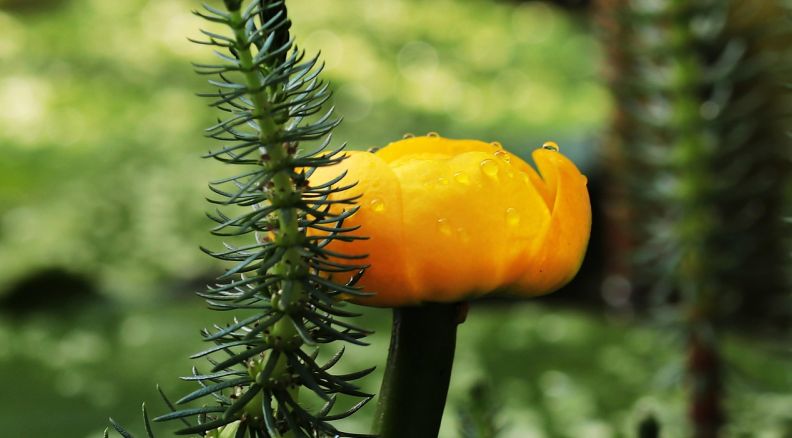 江门玩具厂erp软件怎么样 江门玩具厂erp软件价格分析，花小钱办大事