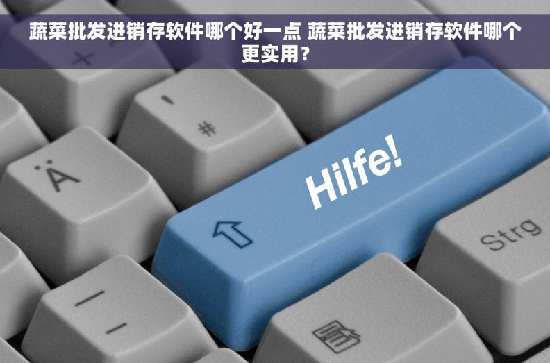 蔬菜批发进销存软件哪个好一点 蔬菜批发进销存软件哪个更实用？
