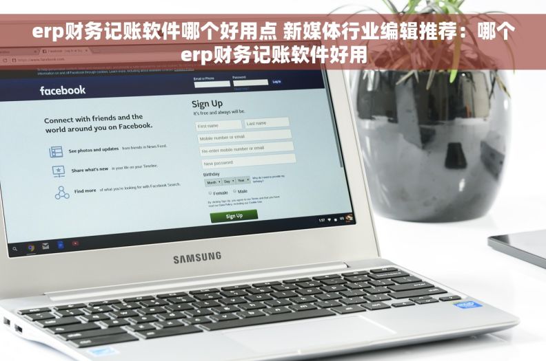 erp财务记账软件哪个好用点 新媒体行业编辑推荐：哪个erp财务记账软件好用