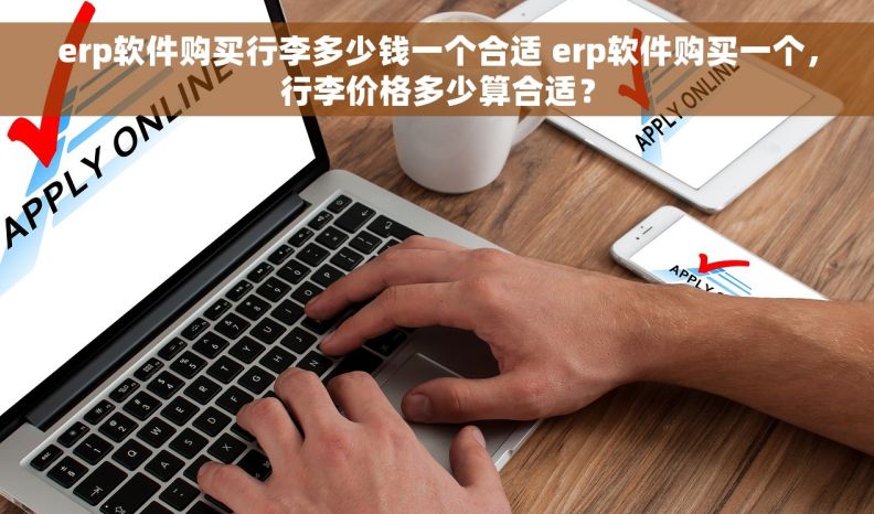 erp软件购买行李多少钱一个合适 erp软件购买一个，行李价格多少算合适？