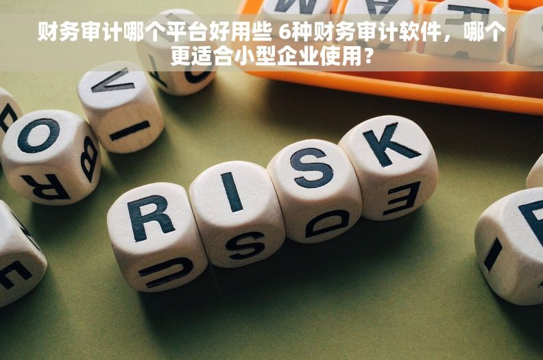 财务审计哪个平台好用些 6种财务审计软件，哪个更适合小型企业使用？