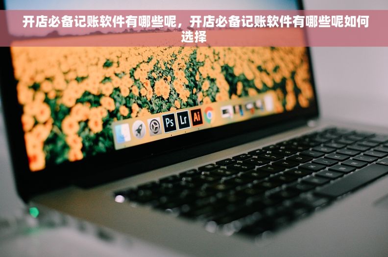  开店必备记账软件有哪些呢，开店必备记账软件有哪些呢如何选择