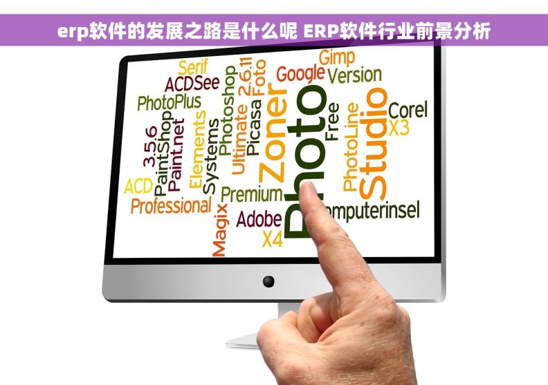 erp软件的发展之路是什么呢 ERP软件行业前景分析