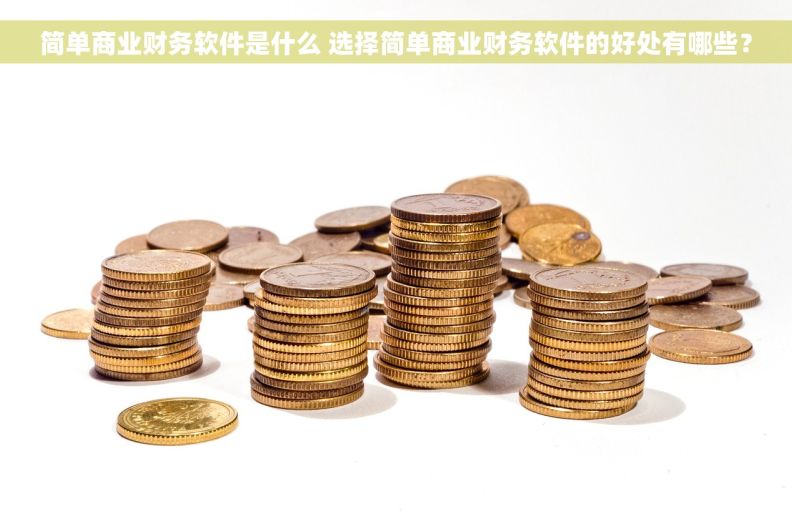 简单商业财务软件是什么 选择简单商业财务软件的好处有哪些？