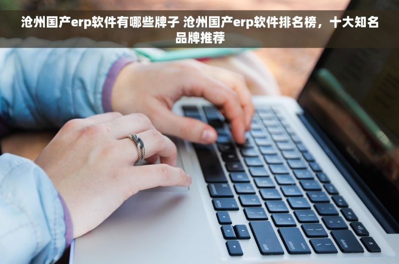 沧州国产erp软件有哪些牌子 沧州国产erp软件排名榜，十大知名品牌推荐