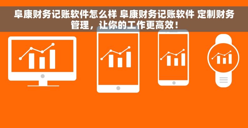 阜康财务记账软件怎么样 阜康财务记账软件 定制财务管理，让你的工作更高效！