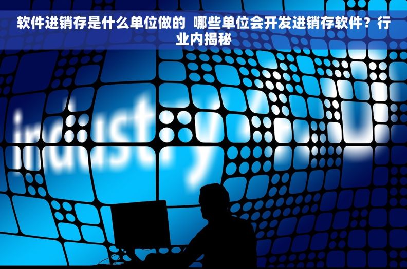软件进销存是什么单位做的  哪些单位会开发进销存软件？行业内揭秘