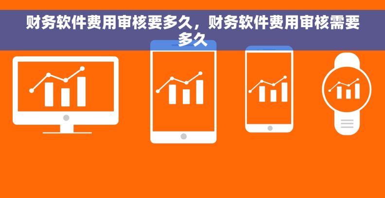 财务软件费用审核要多久，财务软件费用审核需要多久
