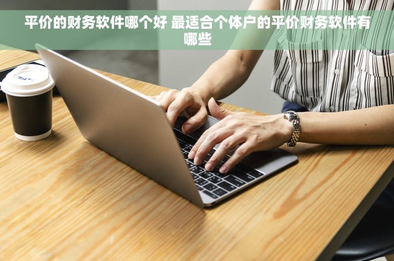 平价的财务软件哪个好 最适合个体户的平价财务软件有哪些