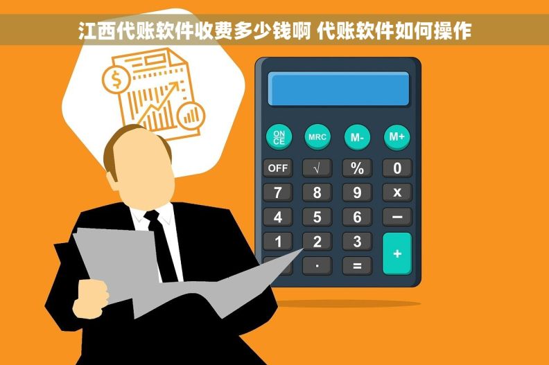 江西代账软件收费多少钱啊 代账软件如何操作