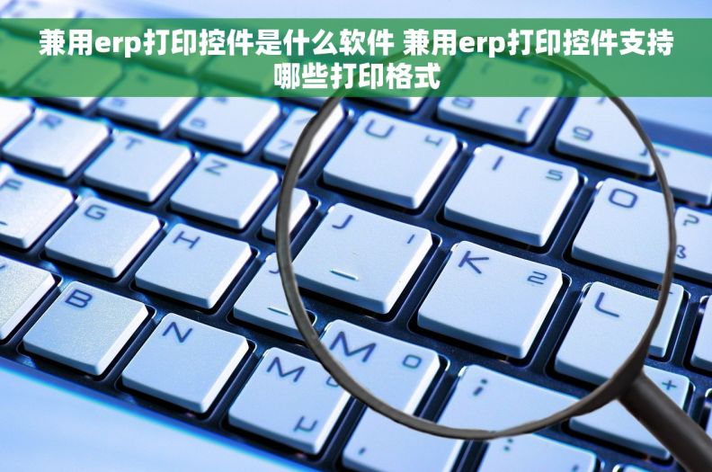 兼用erp打印控件是什么软件 兼用erp打印控件支持哪些打印格式