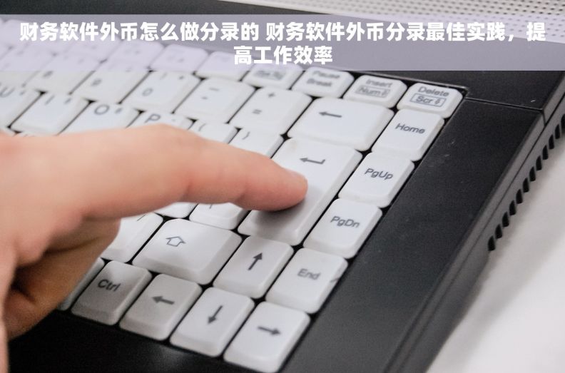 财务软件外币怎么做分录的 财务软件外币分录最佳实践，提高工作效率