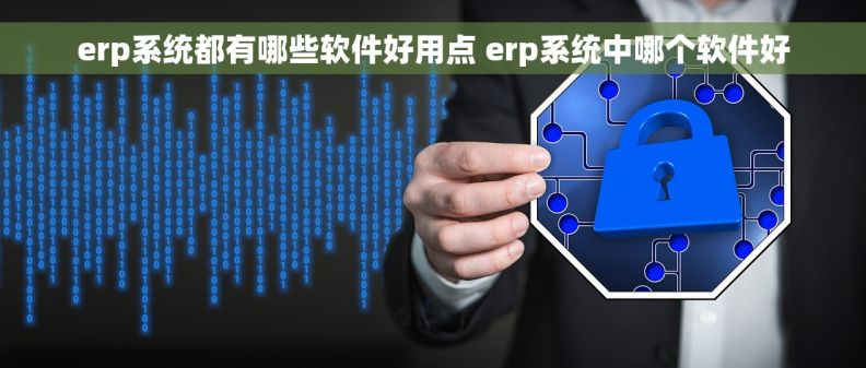 erp系统都有哪些软件好用点 erp系统中哪个软件好