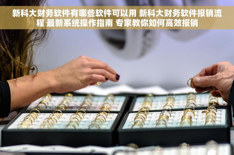 新科大财务软件有哪些软件可以用 新科大财务软件报销流程 最新系统操作指南 专家教你如何高效报销