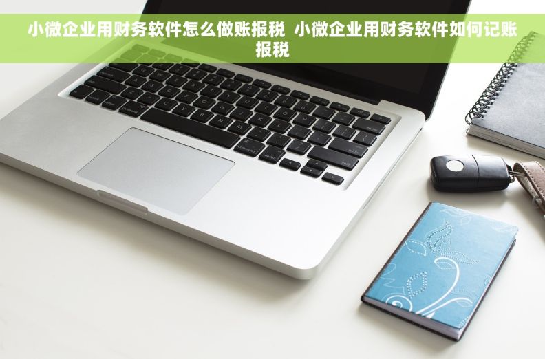 小微企业用财务软件怎么做账报税  小微企业用财务软件如何记账报税
