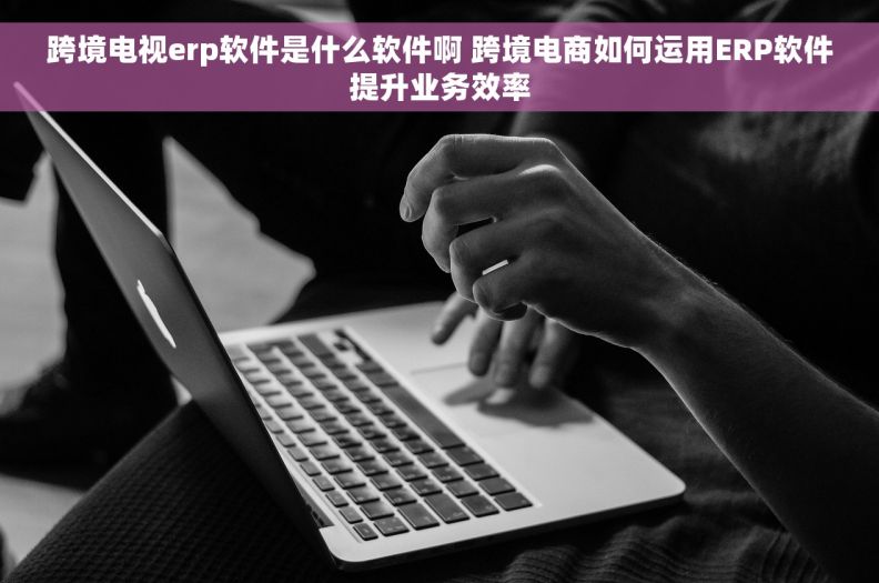 跨境电视erp软件是什么软件啊 跨境电商如何运用ERP软件提升业务效率