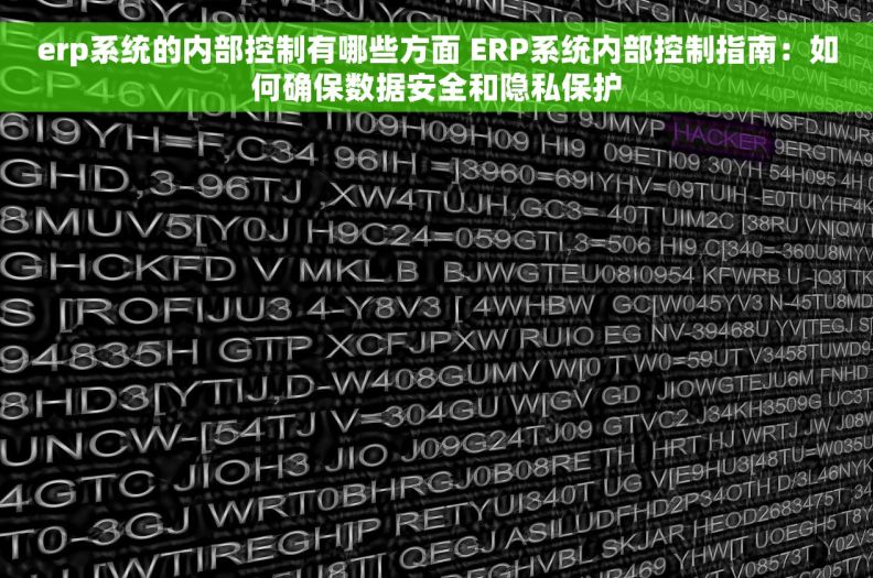 erp系统的内部控制有哪些方面 ERP系统内部控制指南：如何确保数据安全和隐私保护