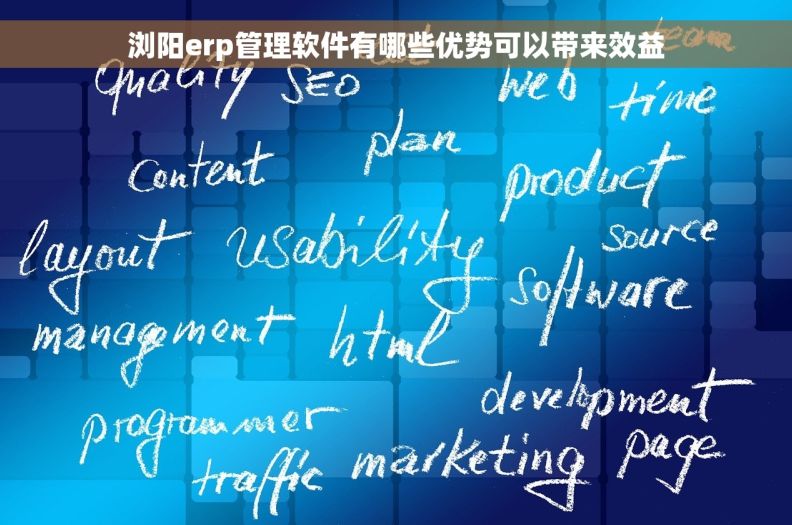 浏阳erp管理软件有哪些优势可以带来效益