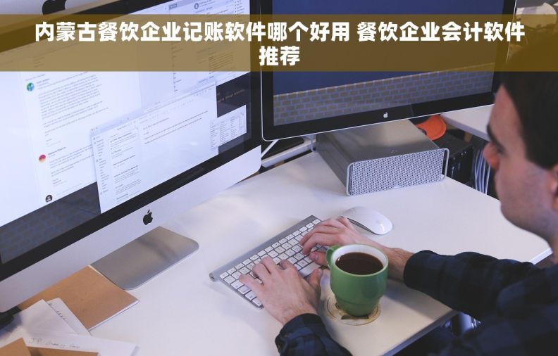 内蒙古餐饮企业记账软件哪个好用 餐饮企业会计软件推荐