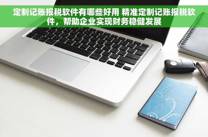 定制记账报税软件有哪些好用 精准定制记账报税软件，帮助企业实现财务稳健发展