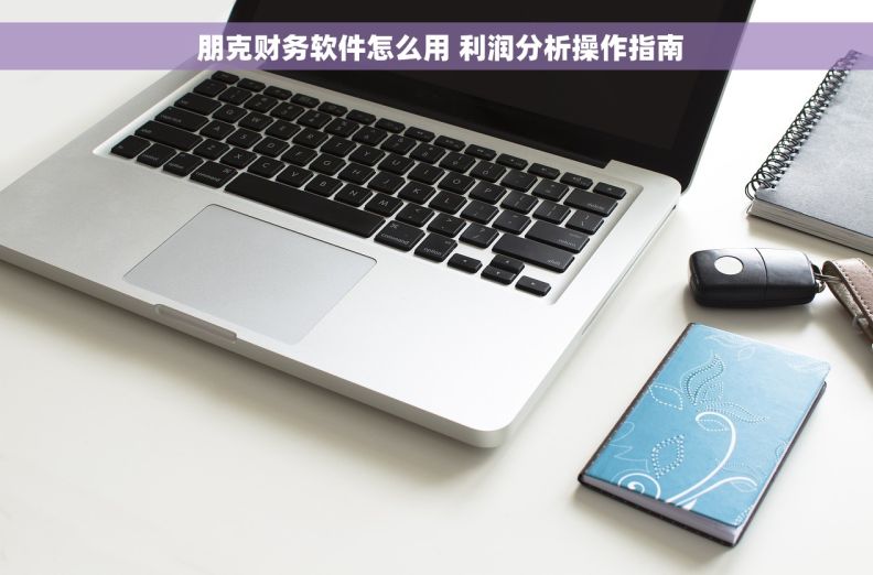  朋克财务软件怎么用 利润分析操作指南
