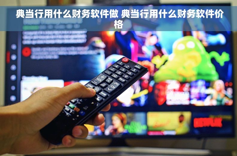  典当行用什么财务软件做 典当行用什么财务软件价格
