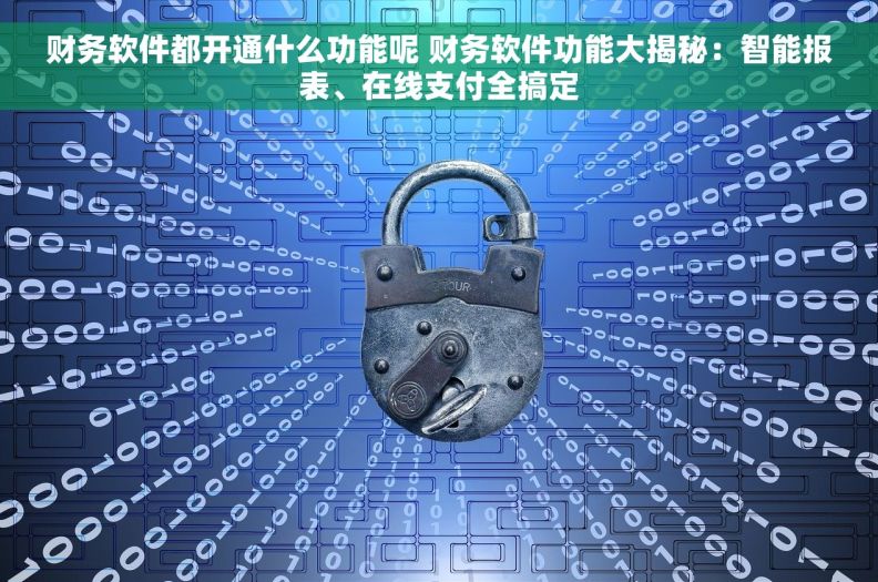 财务软件都开通什么功能呢 财务软件功能大揭秘：智能报表、在线支付全搞定