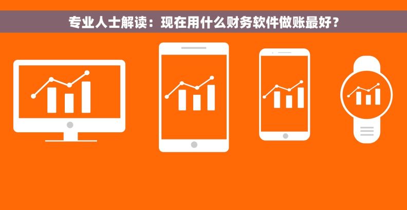 专业人士解读：现在用什么财务软件做账最好？