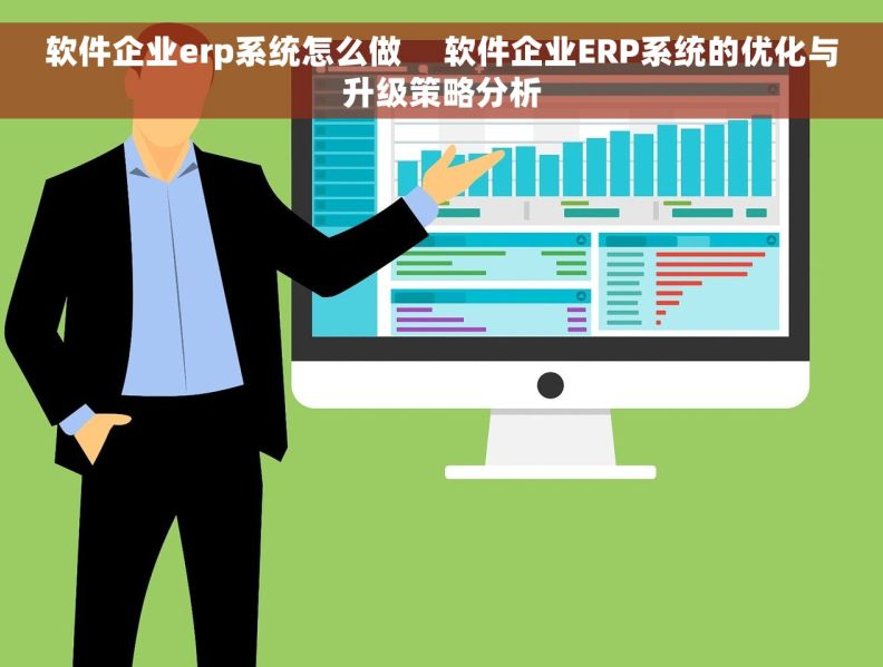 软件企业erp系统怎么做     软件企业ERP系统的优化与升级策略分析