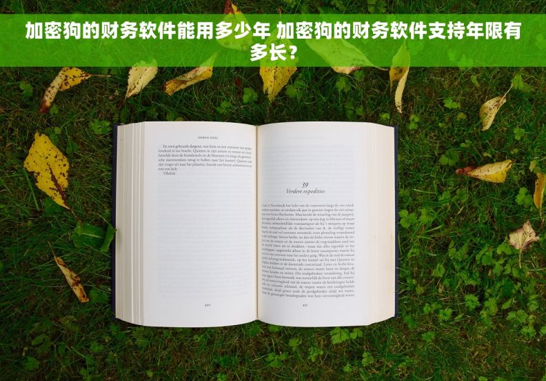 加密狗的财务软件能用多少年 加密狗的财务软件支持年限有多长？
