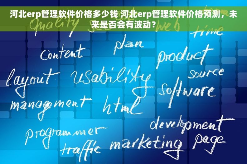 河北erp管理软件价格多少钱 河北erp管理软件价格预测，未来是否会有波动？