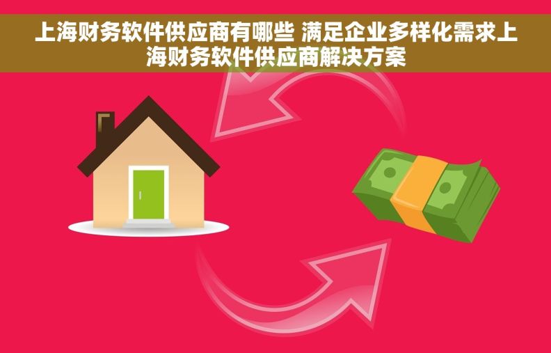上海财务软件供应商有哪些 满足企业多样化需求上海财务软件供应商解决方案