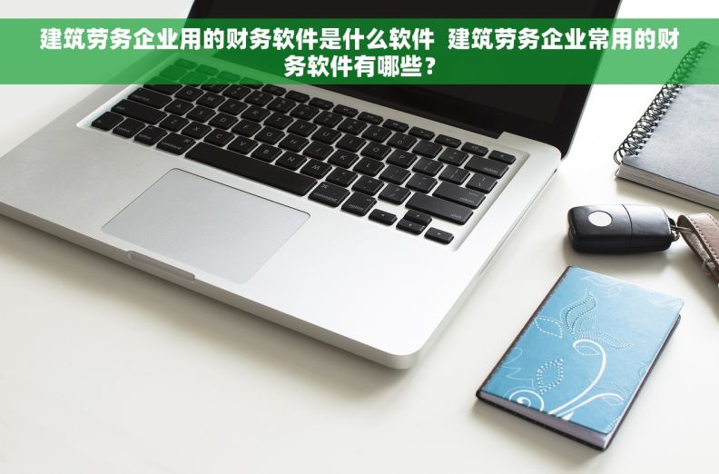 建筑劳务企业用的财务软件是什么软件  建筑劳务企业常用的财务软件有哪些？