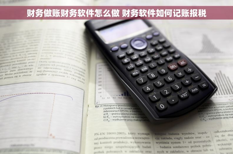 财务做账财务软件怎么做 财务软件如何记账报税