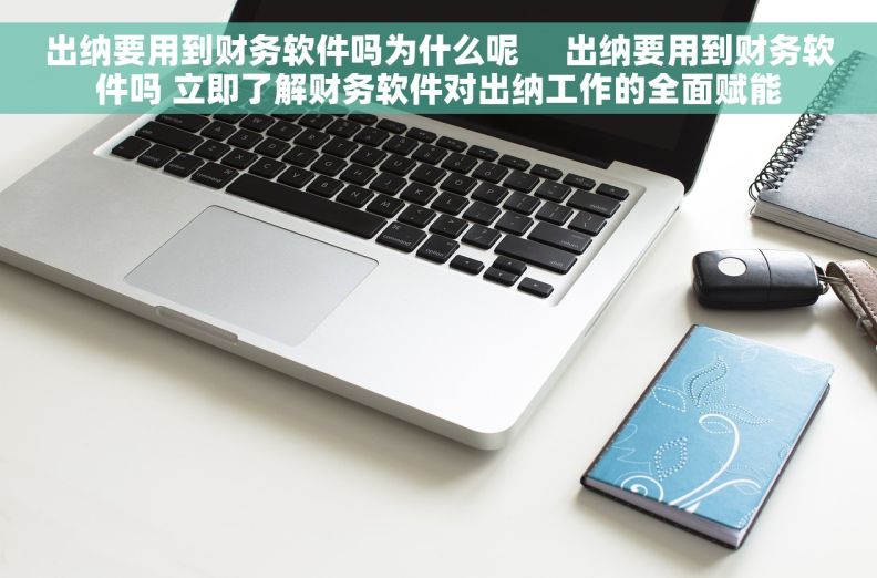 出纳要用到财务软件吗为什么呢     出纳要用到财务软件吗 立即了解财务软件对出纳工作的全面赋能