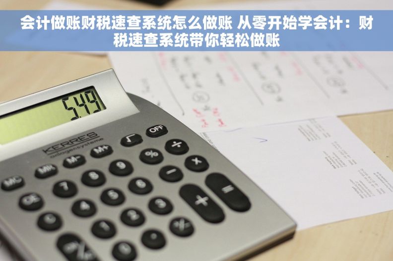 会计做账财税速查系统怎么做账 从零开始学会计：财税速查系统带你轻松做账