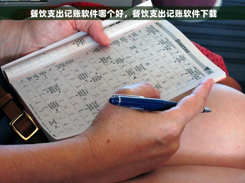  餐饮支出记账软件哪个好，餐饮支出记账软件下载