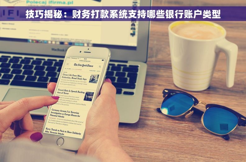 技巧揭秘：财务打款系统支持哪些银行账户类型
