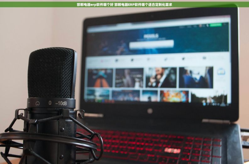 邯郸电器erp软件哪个好 邯郸电器ERP软件哪个适合定制化需求